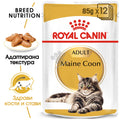 Royal Canin Maine Coon - пауч за котки порода мейн куун 85 гр.
