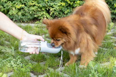 Flamingo Archie Water Dispenser - преносим диспенсър за вода 400 мл