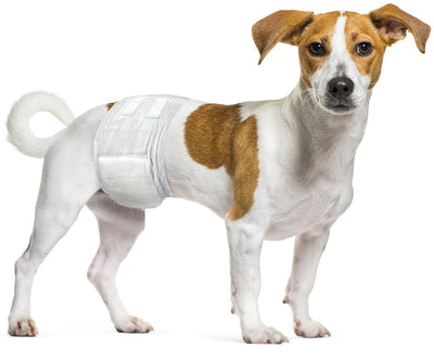 Flamingo Diaper Male Dipy S - хигиенни гащи за мъжки кучета 30 - 46 см