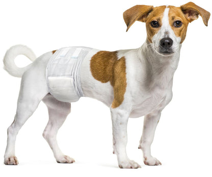 Flamingo Diaper Male Dipy S - хигиенни гащи за мъжки кучета 30 - 46 см