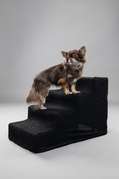 Flamingo Dog Step Tampa Black - стълба за куче 60 / 35,5 / 40,5 см