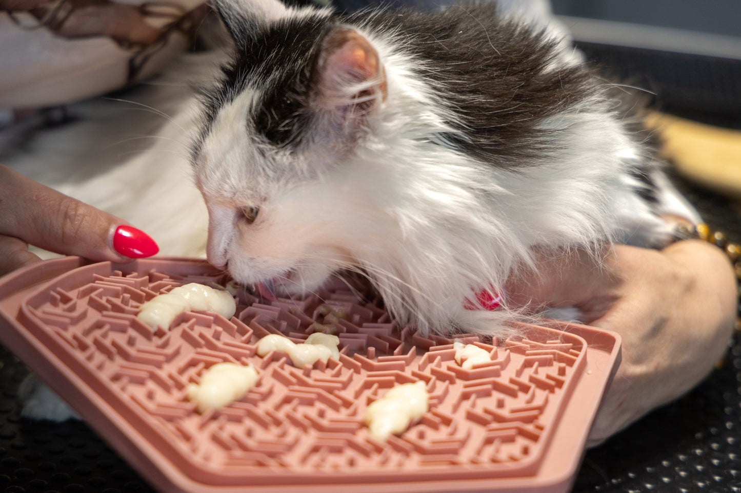 Flamingo Lick pad Jelly - подложка за хранене 24 / 21 см
