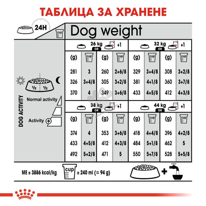 5363694013e1372de2e2f820cad642f7.jpeg