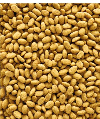 Versele Laga Nutribird Р19 Original - пълноценна екструдирана храна за големи папагали