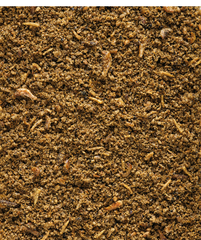 Versele Laga Gold Patee Insect Patee - пълноценна храна за насекомоядни птици