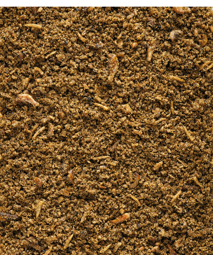 Versele Laga Gold Patee Insect Patee - пълноценна храна за насекомоядни птици