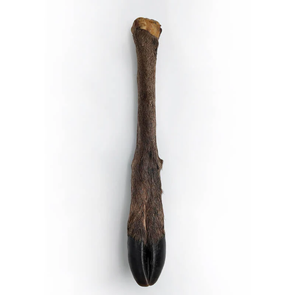WolfPack Deer Leg with Hair - копито от елен 1 бр