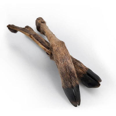 WolfPack Roe Leg with Hair - копито от сърна 2 бр