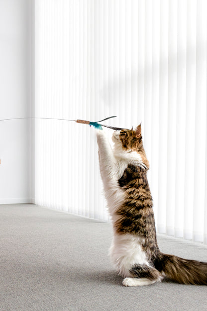 Flamingo Toy Hasse Dangler - въдица за котки 61 - 186 см