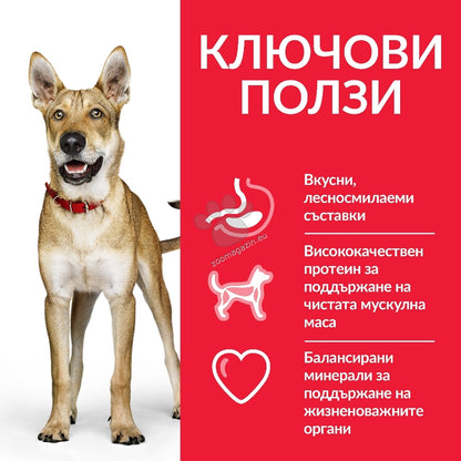 57acf7db2b7bdd46c964860080ad77fa.jpeg