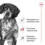 Royal Canin Medium Adult +7 - суха храна за кучета от средни породи над 7 годишна възраст