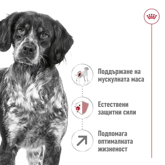 Royal Canin Medium Adult +7 - суха храна за кучета от средни породи над 7 годишна възраст