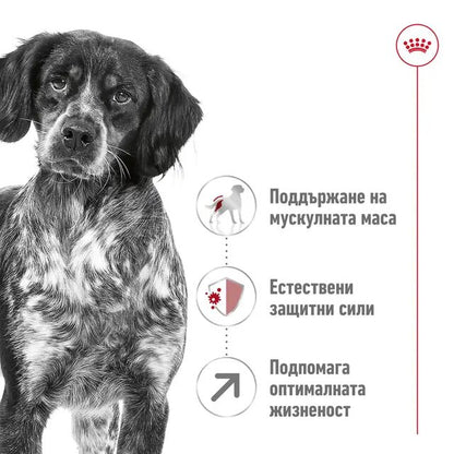 Royal Canin Medium Adult +7 - суха храна за кучета от средни породи над 7 годишна възраст