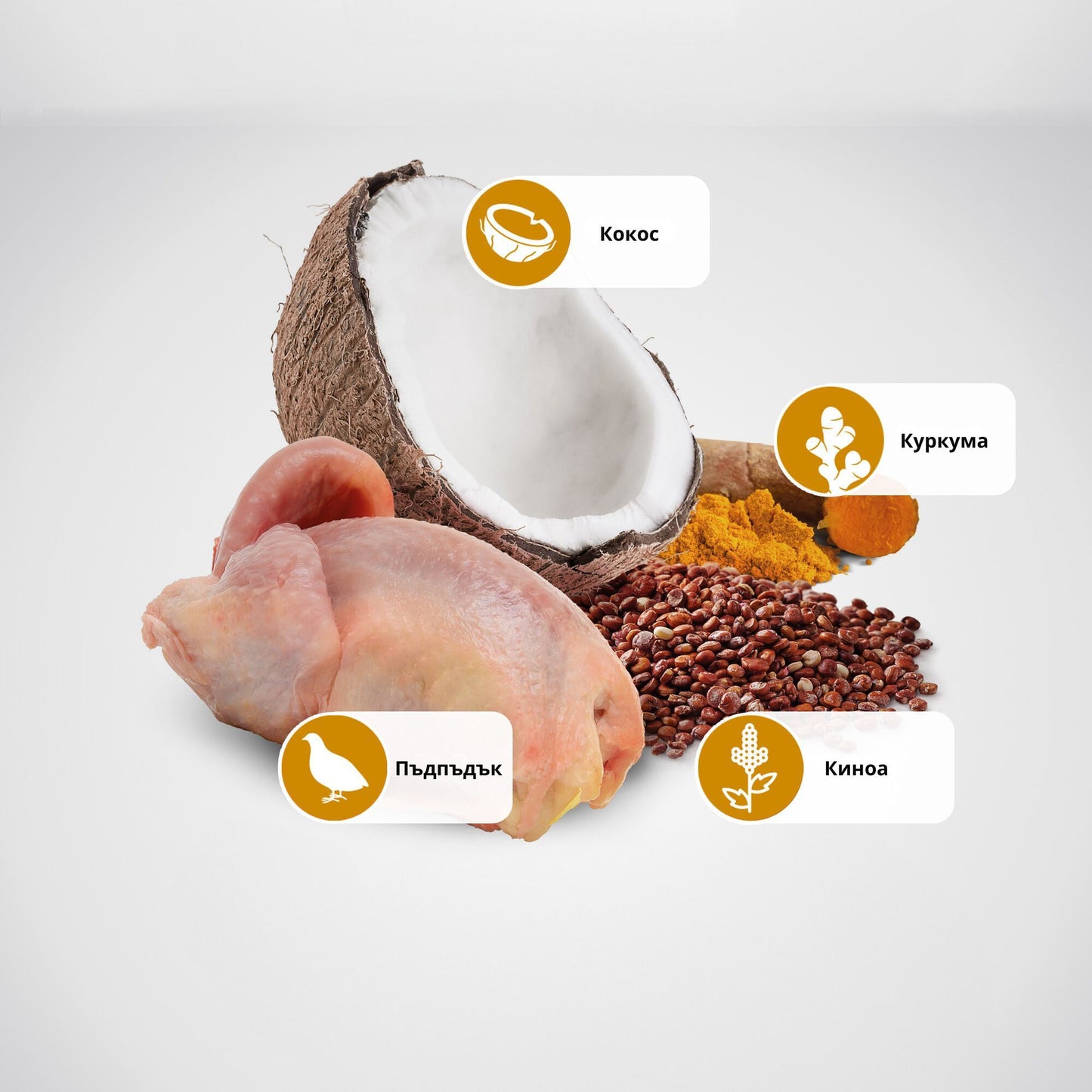 N&D Quinoa Skin & Coat Mini Quail Coconut – пълноценна храна с киноа за кучета над 1г. за дребни породи при чувствителен стомах с пъдпъдък. кокос и куркума