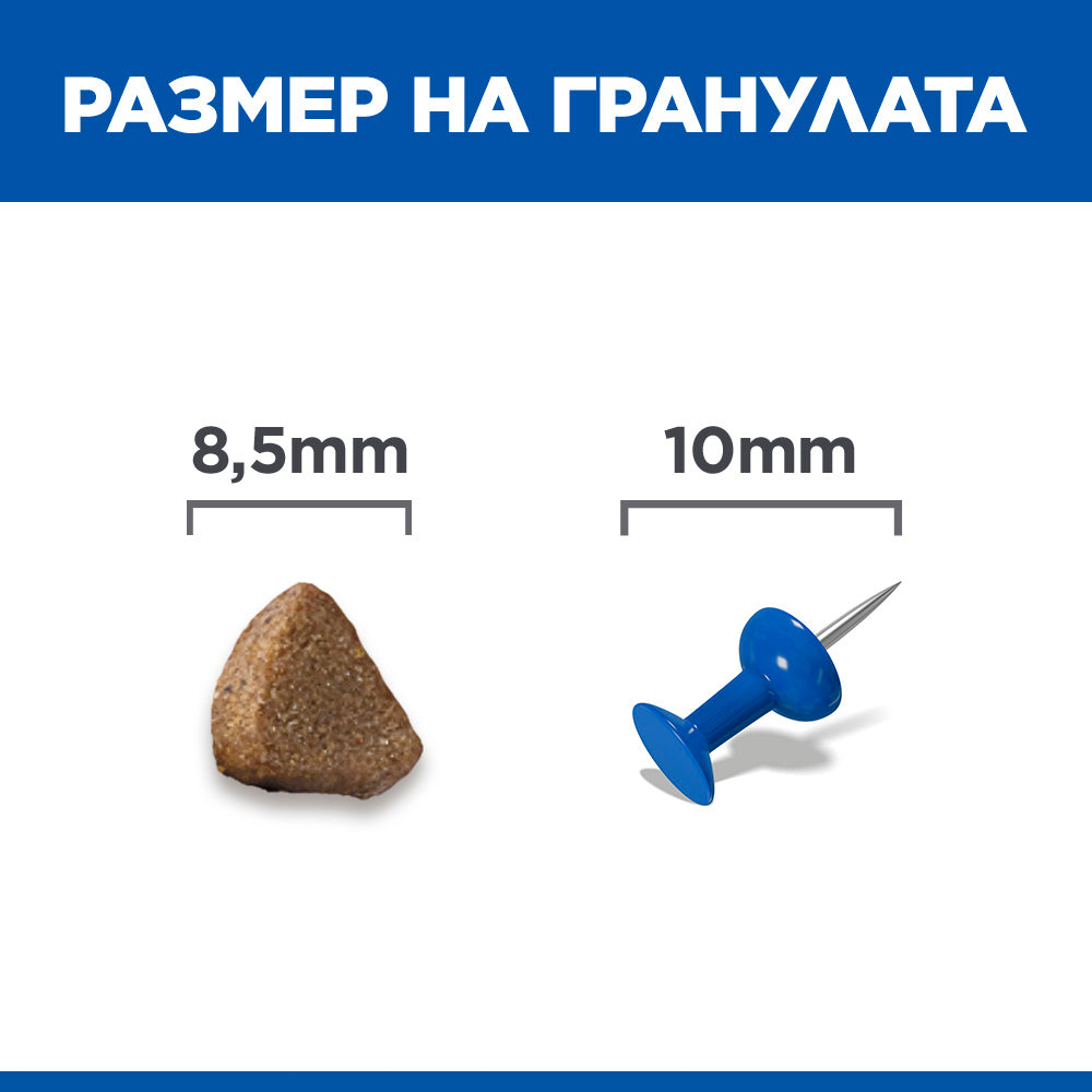 Hills Science Kitten Salmon - суха храна за котнеца със сьомга 1.5 кг