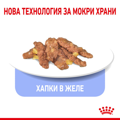 5b3b9b40328890765f060d0b66bd428d.jpeg
