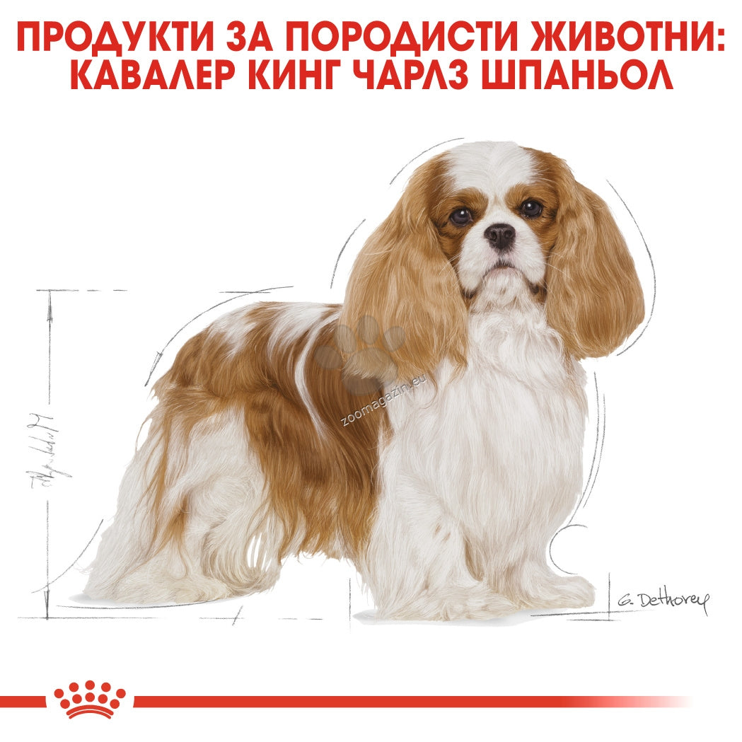 5d542d2e7292127e742ebc54a0102b71.jpeg