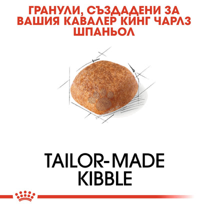 5f1c0e2f78f2cd3e1afe398fef57ff7c.jpeg