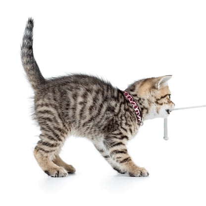 Max Molly Leopard Pink Smart ID - нашийник с чип за сигурност 22 - 35 см