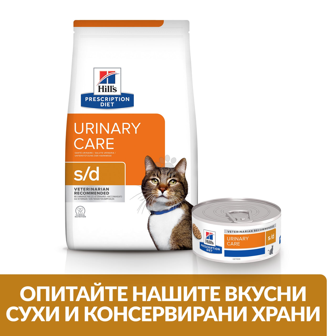 6077601c4100722944095093fe294438.jpeg