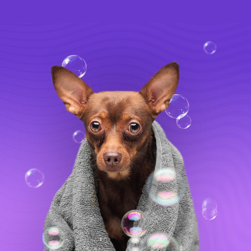 Козметика и Груминг