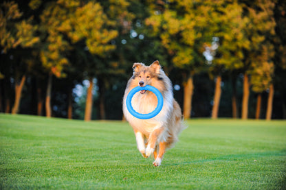 PitchDog 20 Fetch Ring Blue - ринг за кучета 20 см