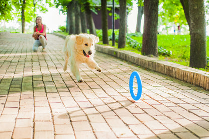 PitchDog 20 Fetch Ring Blue - ринг за кучета 20 см