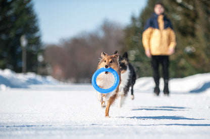 PitchDog 20 Fetch Ring Blue - ринг за кучета 20 см