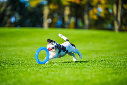 PitchDog 20 Fetch Ring Blue - ринг за кучета 20 см