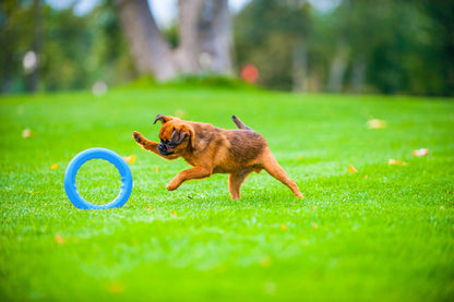 PitchDog 20 Fetch Ring Blue - ринг за кучета 20 см