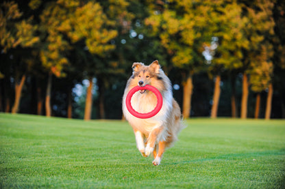 PitchDog 20 Fetch Ring Pink - ринг за кучета 20 см