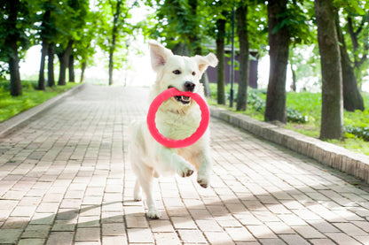 PitchDog 20 Fetch Ring Pink - ринг за кучета 20 см