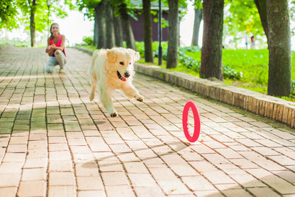 PitchDog 20 Fetch Ring Pink - ринг за кучета 20 см