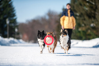 PitchDog 20 Fetch Ring Pink - ринг за кучета 20 см