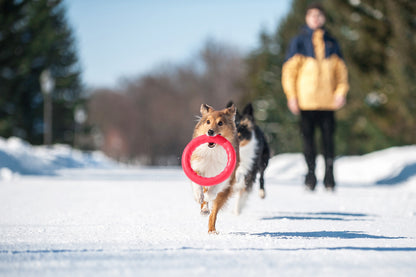 PitchDog 20 Fetch Ring Pink - ринг за кучета 20 см