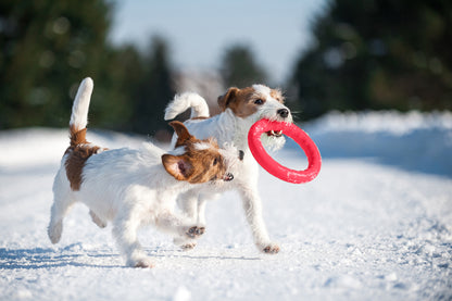 PitchDog 20 Fetch Ring Pink - ринг за кучета 20 см