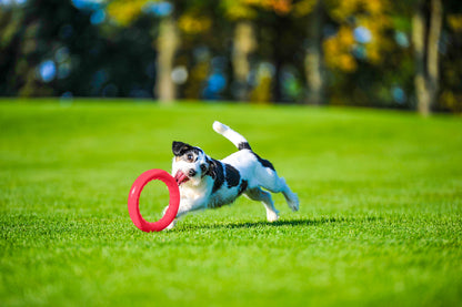 PitchDog 20 Fetch Ring Pink - ринг за кучета 20 см