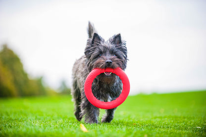 PitchDog 20 Fetch Ring Pink - ринг за кучета 20 см
