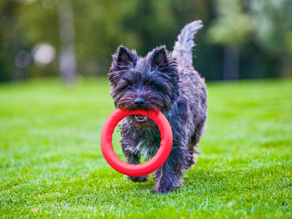 PitchDog 20 Fetch Ring Pink - ринг за кучета 20 см