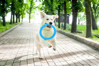 PitchDog 30 Fetch Ring Blue - ринг за кучета 28 см