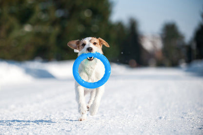 PitchDog 30 Fetch Ring Blue - ринг за кучета 28 см