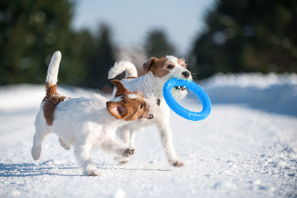 PitchDog 30 Fetch Ring Blue - ринг за кучета 28 см
