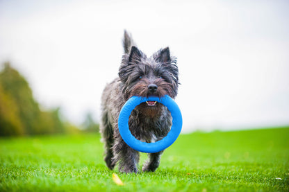 PitchDog 30 Fetch Ring Blue - ринг за кучета 28 см