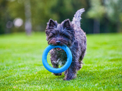PitchDog 30 Fetch Ring Blue - ринг за кучета 28 см