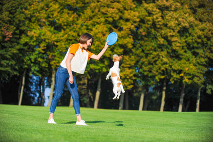 PitchDog Game Flying Disc Pink - фризби за кучета 24 см