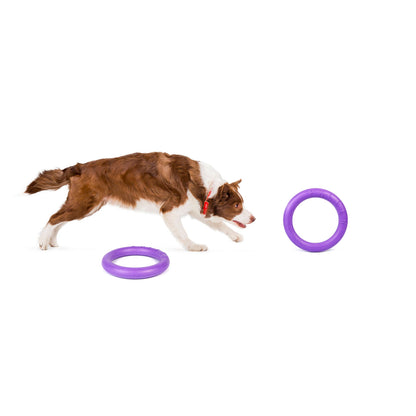 Puller Dog Medium - спортен уред за кучета от малки и средни породи 19,3 см (2 бр.)