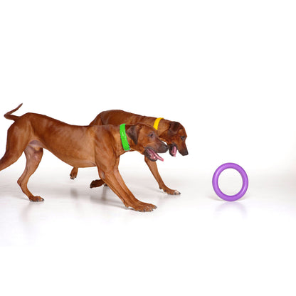 Puller Dog Medium - спортен уред за кучета от малки и средни породи 19,3 см (2 бр.)