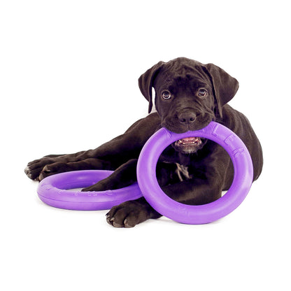 Puller Dog Medium - спортен уред за кучета от малки и средни породи 19,3 см (2 бр.)