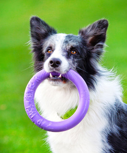Puller Dog Medium - спортен уред за кучета от малки и средни породи 19,3 см (2 бр.)