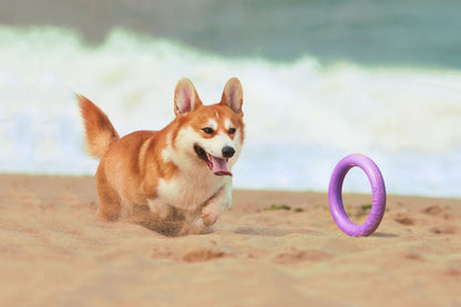 Puller Dog Medium - спортен уред за кучета от малки и средни породи 19,3 см (2 бр.)